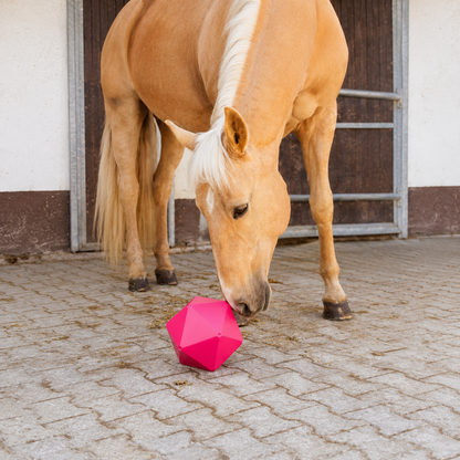 Treat and Activity Ball - Horse and Pet - Blue OR Pink