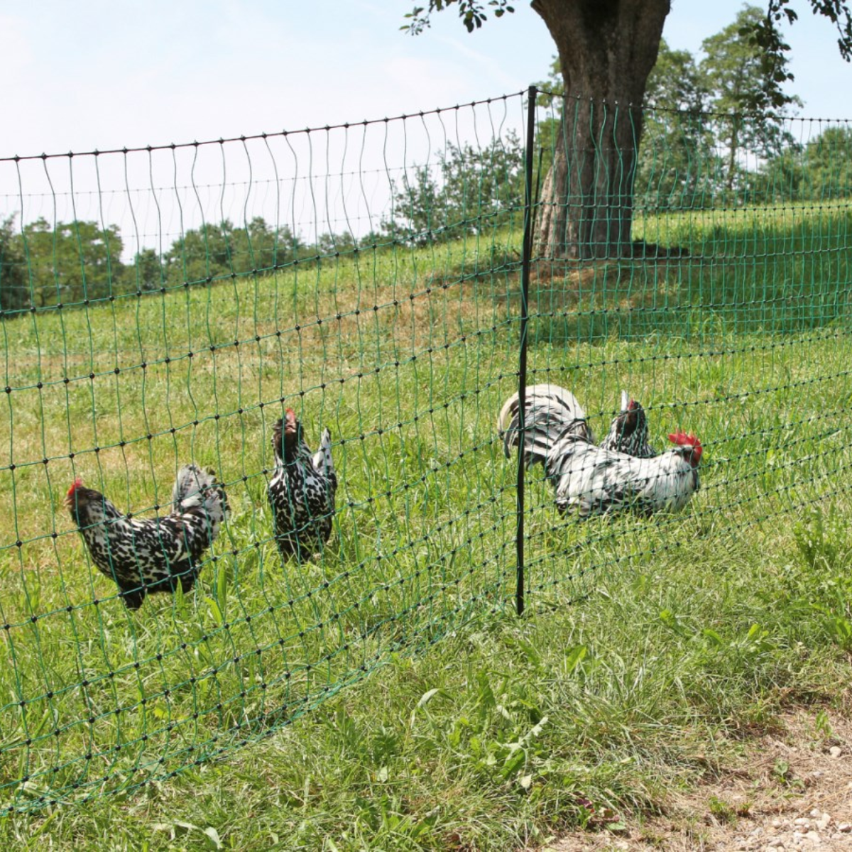 Doblit Poultry Netting Double Pegged 112cm, 50m Green