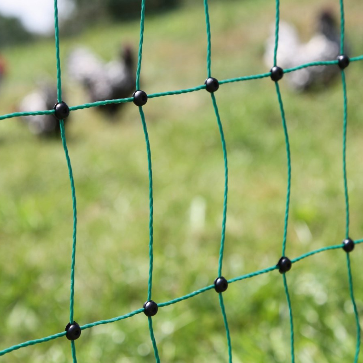 Doblit Poultry Netting Double Pegged 112cm, 50m Green