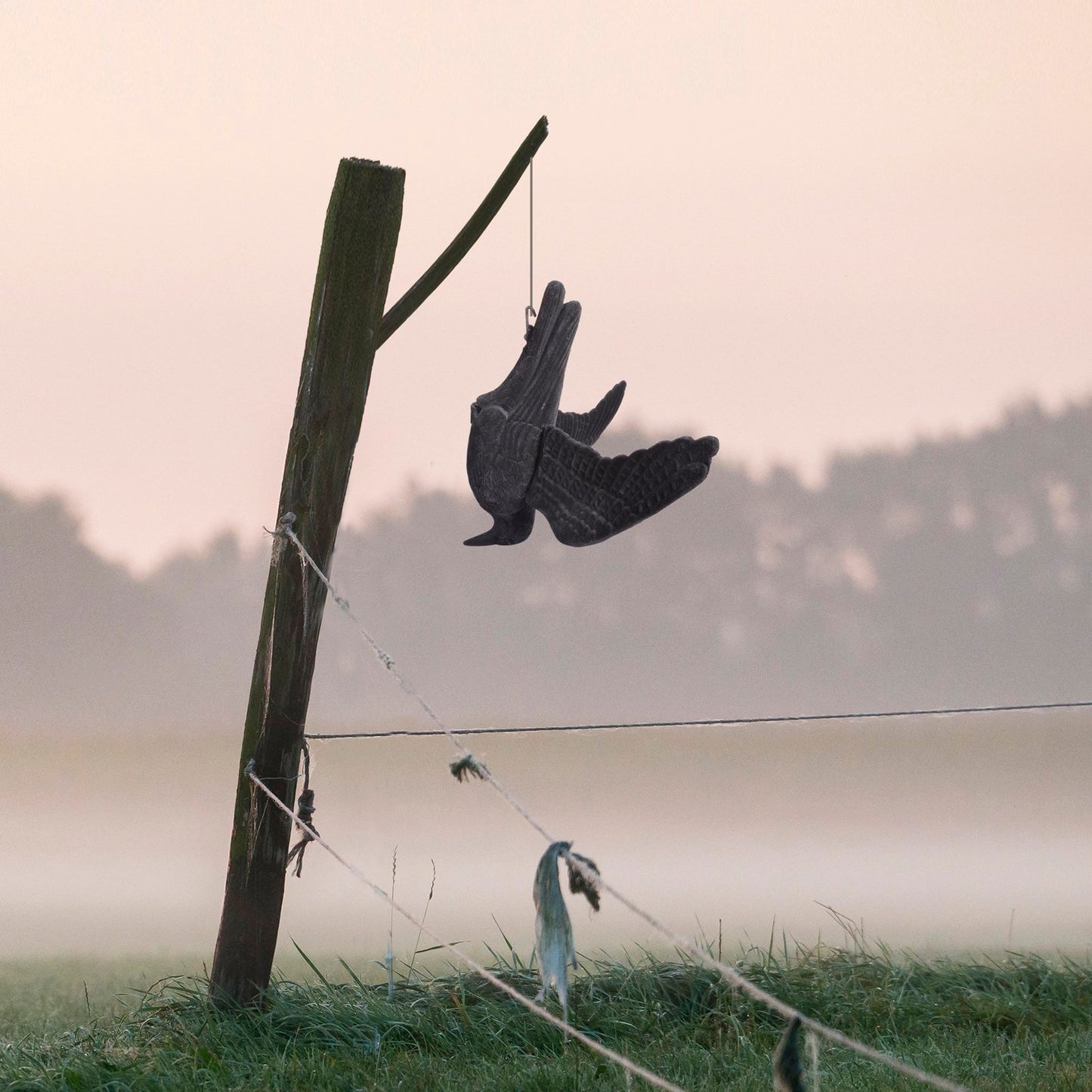 Portek Realistic Hanging Crow Visual Bird Scarer