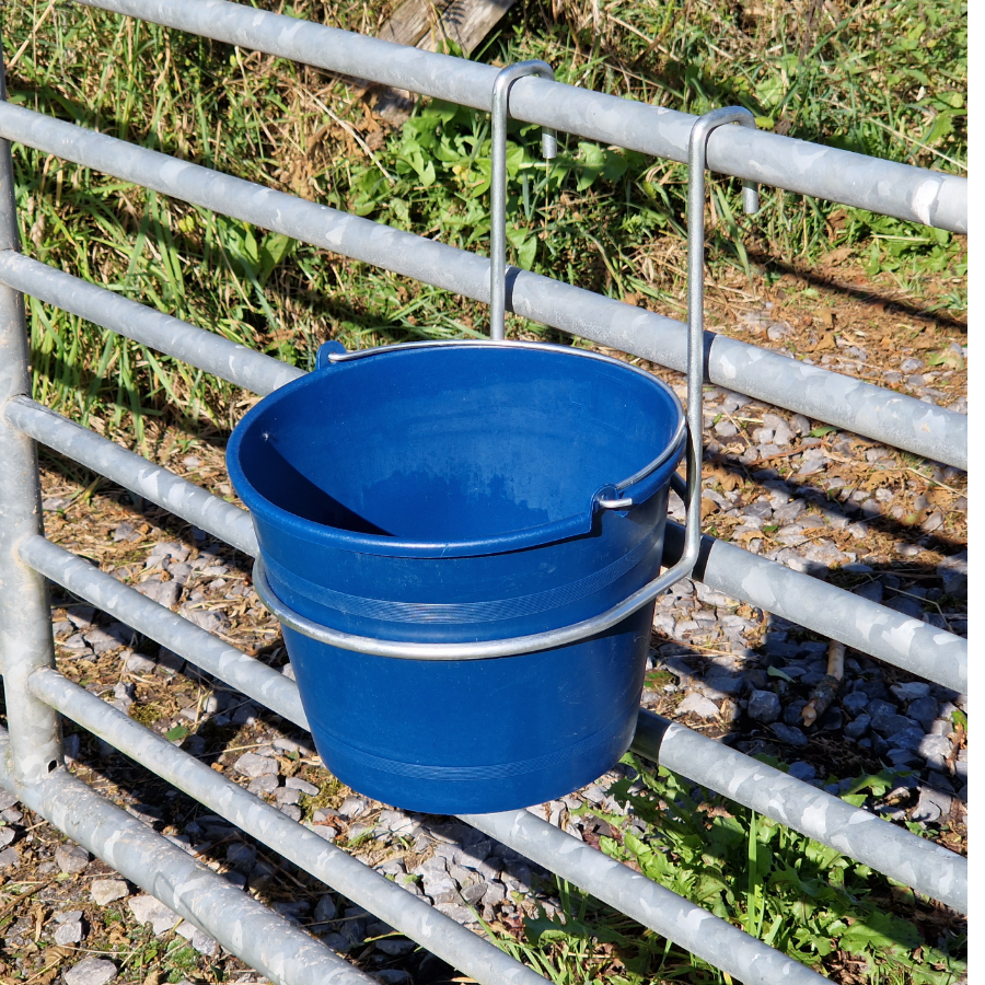 5L Single Bucket Feeder Hanging Trough Hoof Proof Galvanised Ring Sheep Lambing Calves