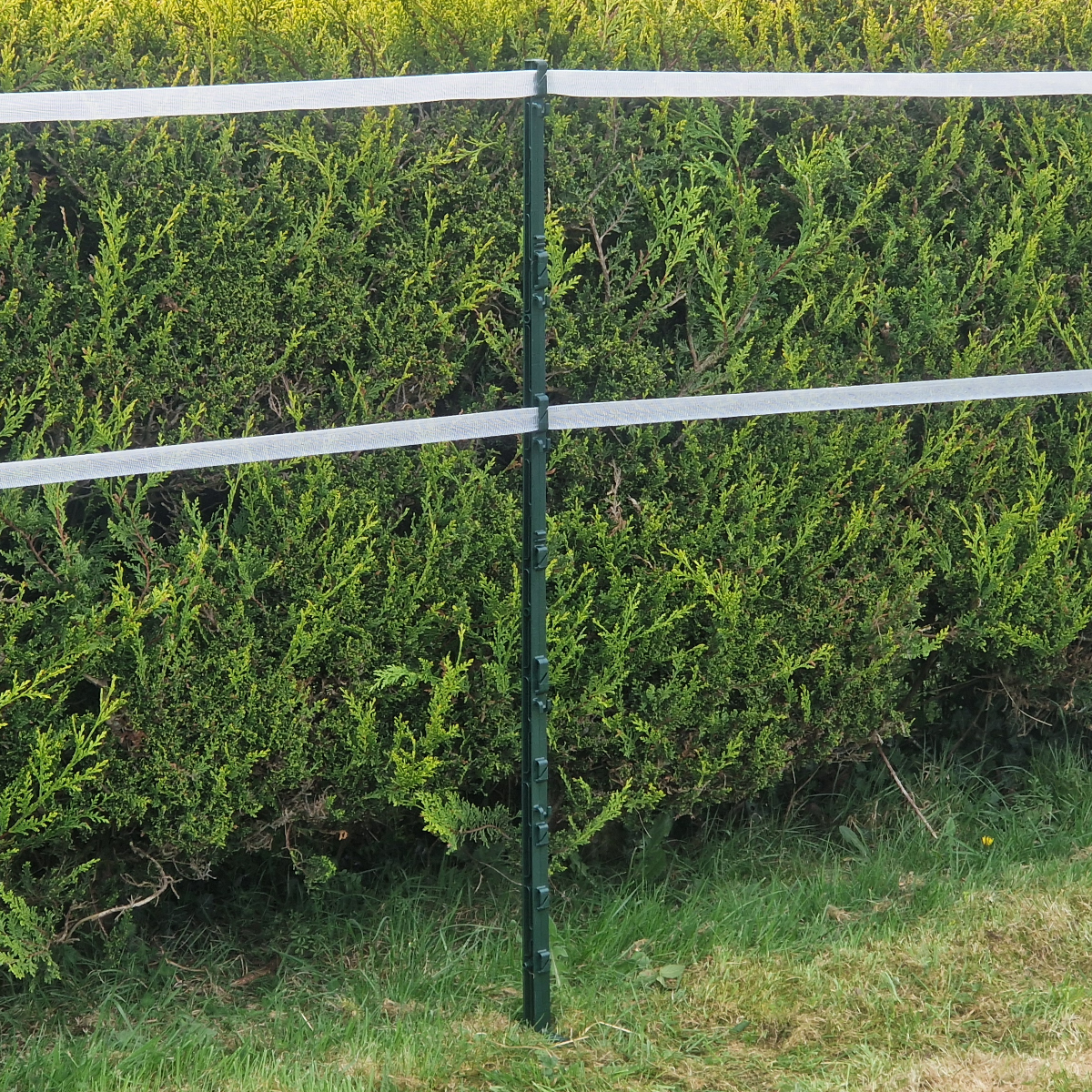 Doblit 156cm Poly Posts Heavy Duty Plastic Stake with 14 Insulators & Double Sided Step (Green)