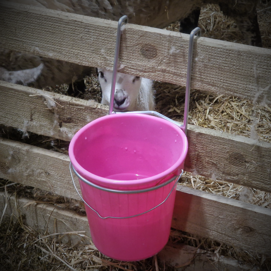 5L Single Bucket Feeder Hanging Trough Hoof Proof Galvanised Ring Sheep Lambing Calves (Pink)