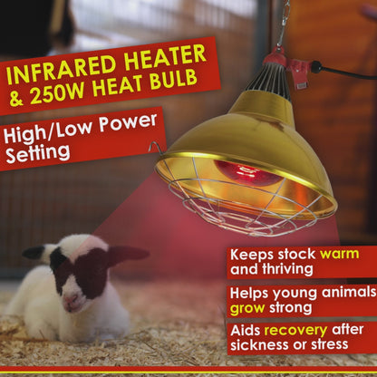 Infrared Heat Lamp Heater with High / Low Switch- FREE 250w Ruby Heat Bulb