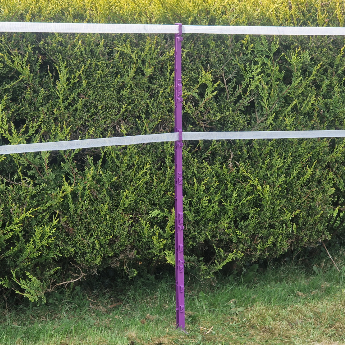 Doblit 156cm Poly Posts Heavy Duty Plastic Stake with 14 Insulators & Double Sided Step (Purple)