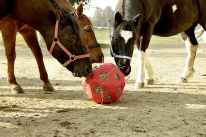 Large Hay Ball Feeder Treat Play Fun Horse Calf Cow Foal Equine Feed Durable